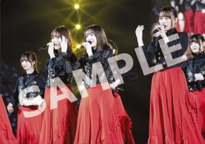 N46_8thBDL_clearfile_coachandfour.jpg